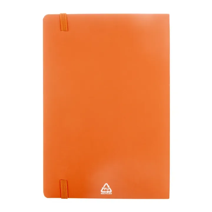 RPU notebook - AP808172 (ANDA#03)